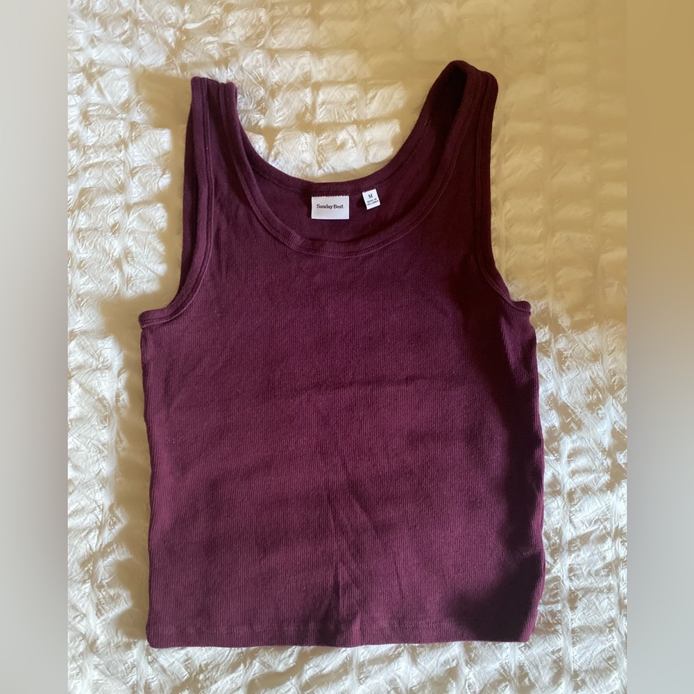 Sunday Best Aritzia ribbed tank top
